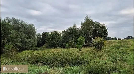 [eLicytacje] III licytacja - nieruchomość gruntowa niezabudowana w Pączewie Gmina Skórcz, nr działki - POZNANIAK.NET