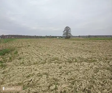 [eLicytacje] I licytacja - Nieruchomość gruntowa położona w Drogomyślu - POZNANIAK.NET