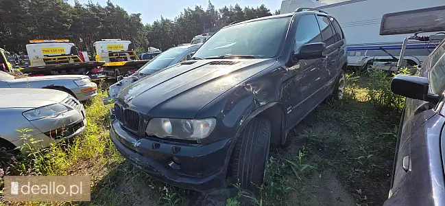 Bmw x5 3.0d, 2003 rok, 2926cm3, olej napędowy - i licytacja - [elicytacje] - POZNANIAK.NET