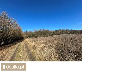 [eLicytacje] I licytacja - Nieruchomość gruntowa, niezabudowana, PO2T/00044247/7, działka nr 205/7,  - POZNANIAK.NET