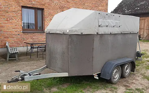 [eLicytacje] II licytacja - Przyczepa specjalna do przewozu zwierząt typu SAM, rok budowy 2012, łado - POZNANIAK.NET