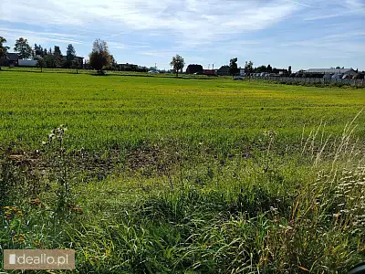 [eLicytacje] I licytacja - Nieruchomość gruntowa niezabudowana Czekanów powierzchnia 2,5918 ha. Udzi - POZNANIAK.NET